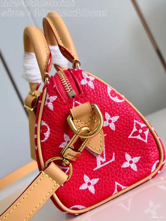 LOUIS SPEEDY 18 VUITTON 0508